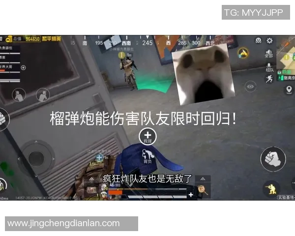 和平精英热议BLG团队配合引发争议与讨论的背后故事